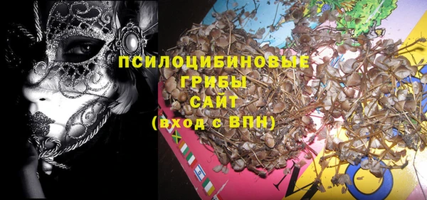 стафф Аркадак