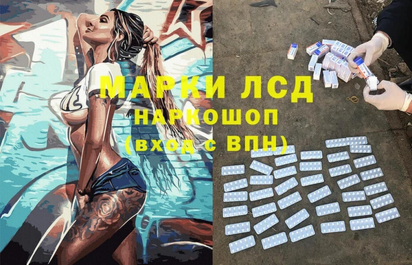 стафф Аркадак