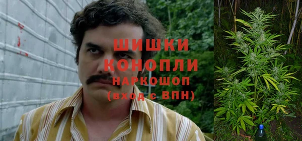 экстази Арсеньев