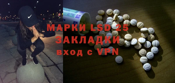 стафф Аркадак