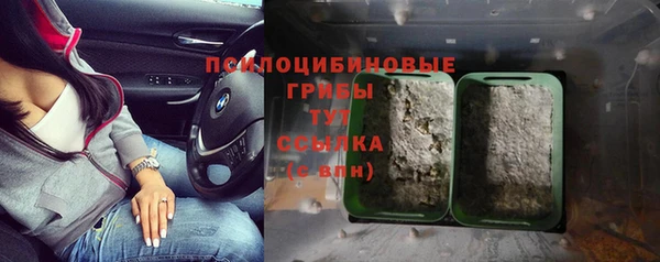 гидропоника Армянск