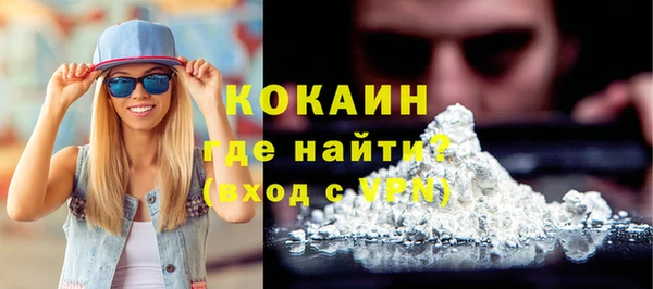 стафф Аркадак