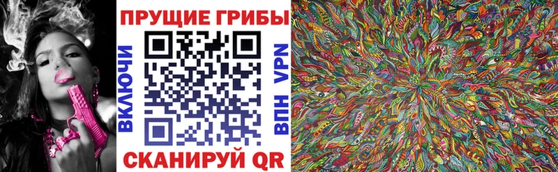 Галлюциногенные грибы GOLDEN TEACHER Приморск